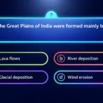 Free practice questions for exams with MCQs and long answers